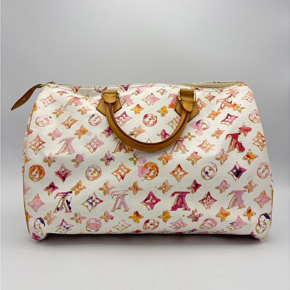 Louis Vuitton Speedy Multicolor Monogram